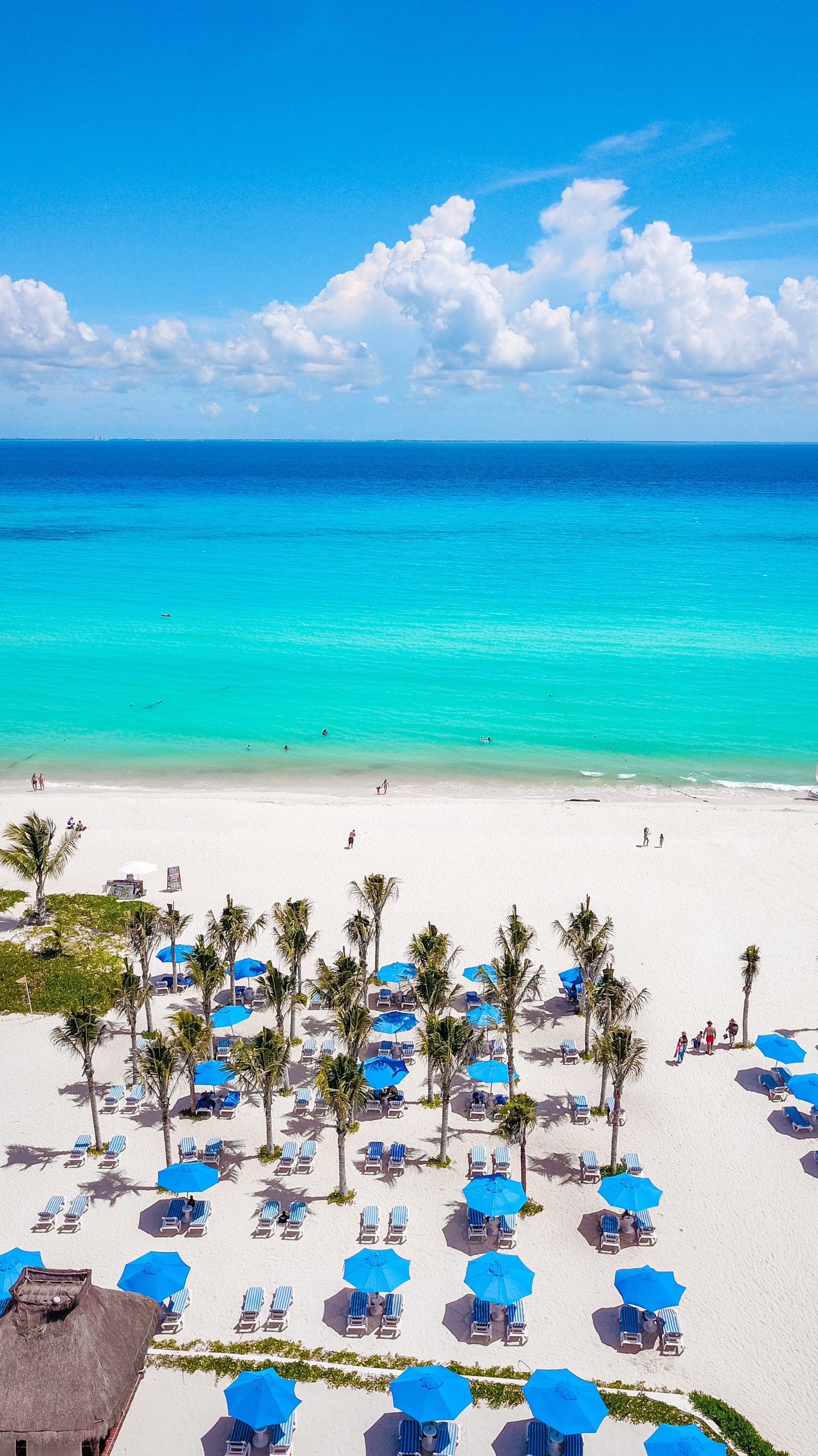 The Reef Playacar